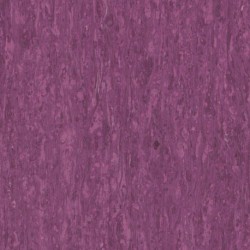 iQ Optima Purple 0255