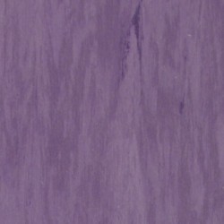 Standard Plus Purple 0918