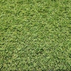 Искусственная трава Terazza 18мм (4м.) Betap - 1