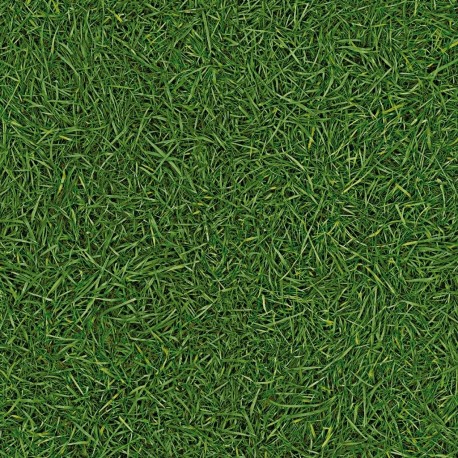 Bingo Grass 25 (2.5м.)