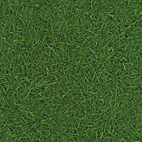 Vision Grass T25 (3м.)