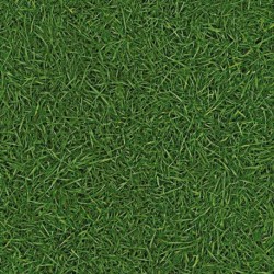 Vision Grass T25