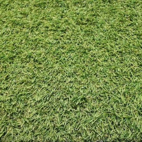 Искусственная трава Terazza 18мм (2м.) Betap - 1
